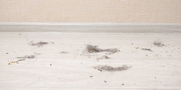 reducing dust