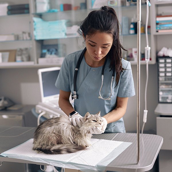 veterinary clinic